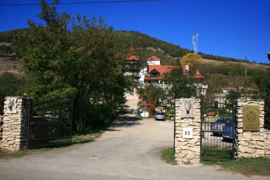 Castelul Lupilor Chimindia Exterior photo